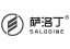 萨洛丁
